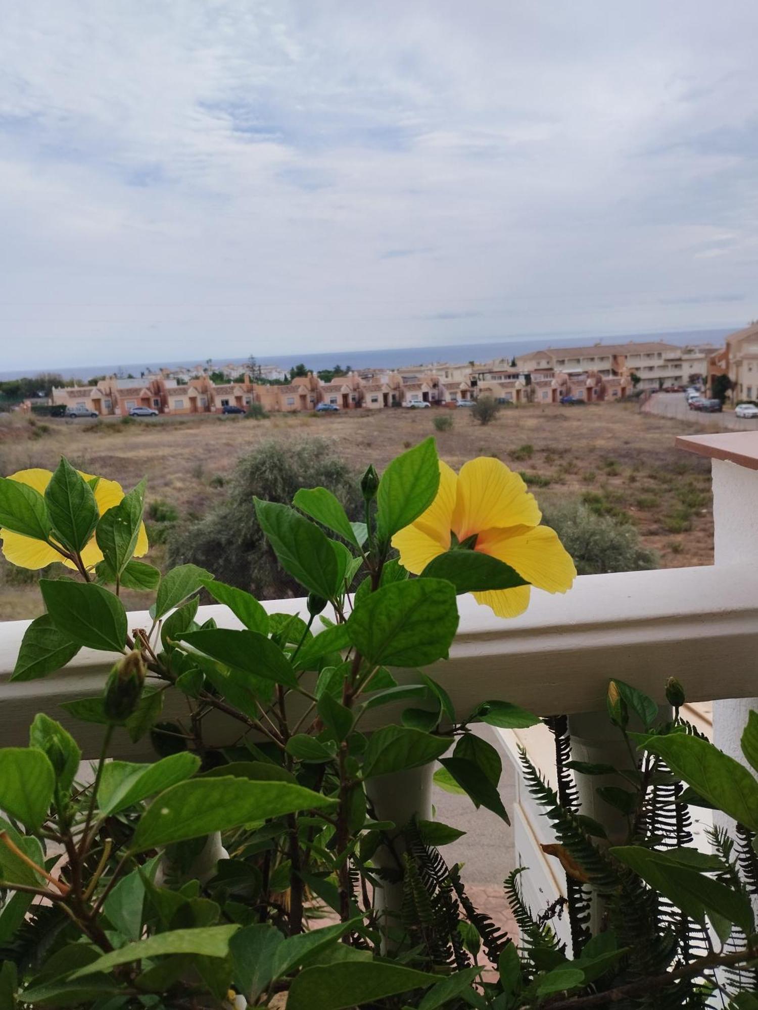 Casa Carino Apartment Torrox Bagian luar foto