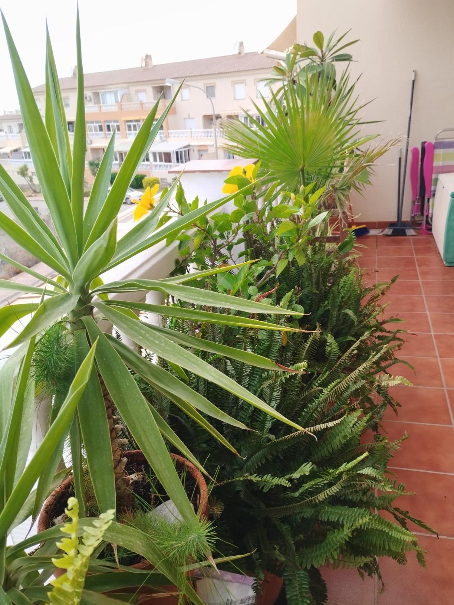 Casa Carino Apartment Torrox Bagian luar foto